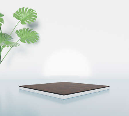 3D rendering of pedestal podium, Abstract minimal display empty space with Monstera leaves. Geometry podium for beauty cosmetic products or showcase.の写真素材
