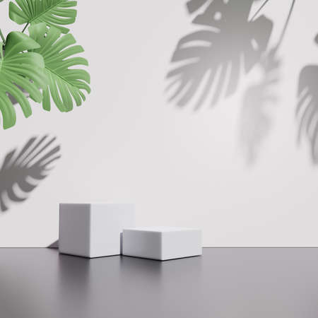 3D rendering of pedestal podium, Abstract black and white minimal display empty space with Monstera leaves. Geometry podium for beauty cosmetic products or showcase.の写真素材