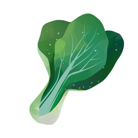 Watercolor Bok Choy  isolated on white background. Digital art painting.の写真素材