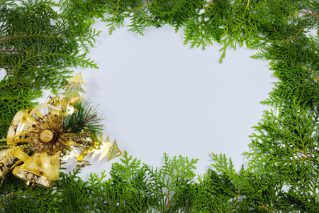 Pine leaves on a white background For christmasの写真素材