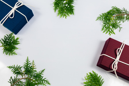 Pine leaf and gift box, white backgroundの写真素材