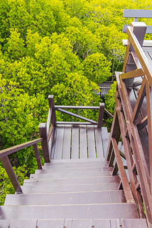 Down the stairs, made of wood.の写真素材