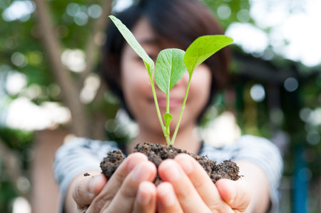 Hand and plant