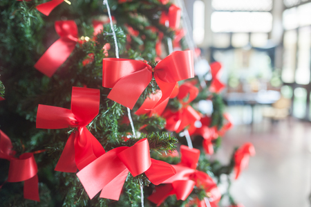 red ribbon tie at christmas treeの写真素材