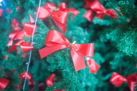red ribbon tie at christmas treeの写真素材