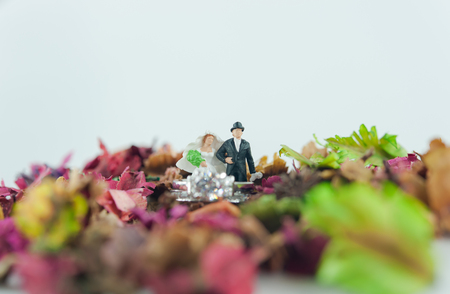 Wedding ring and the miniature couple(selective focus)の写真素材