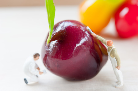 deletable imitation fruitsの写真素材