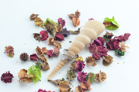 Wedding ring and the tower screw shellsの写真素材