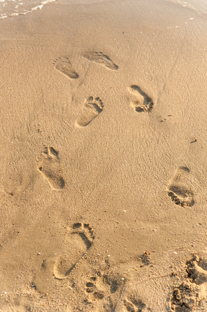 Footprints in the sand at sunsetの写真素材