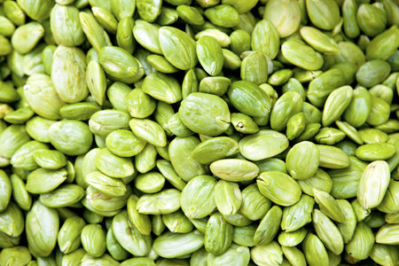 Parkia speciosa background