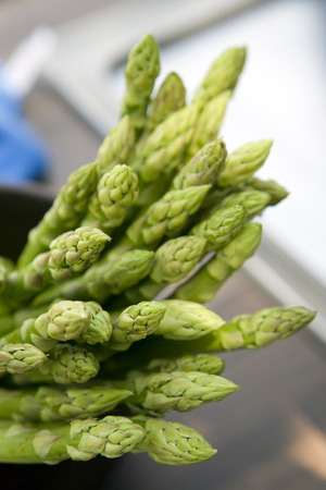 Group of asparagus,close upの写真素材