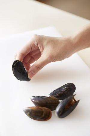 Hand knocking scallop on cutting board to let it openの写真素材
