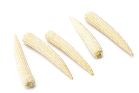 Baby corn group on backgroundの写真素材