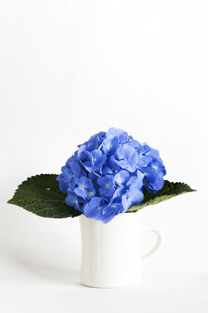 Hydrangea in vase on backgroundの写真素材