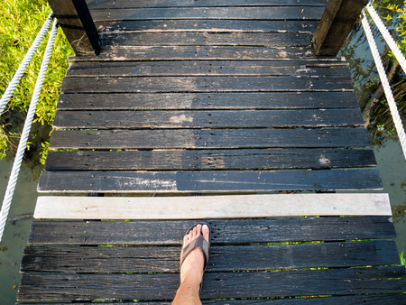 Bridge with mangrove forestの写真素材