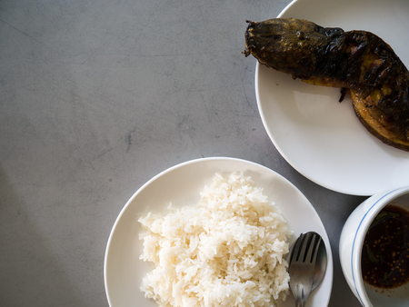 Grilled catfish on a white plateの写真素材