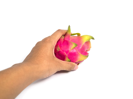 Pick dragon fruit on a white backgroundの写真素材
