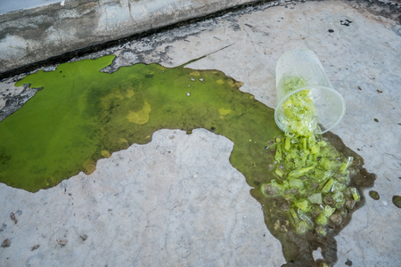 Iced green tea spilled on the floorの写真素材