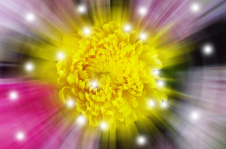 Blur yellow flower backgroundsの写真素材