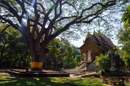 CHIANG MAI THAILAND-11 JANUARY 2020:Wat Chet Yot temple,à¸ºB.E. 1998 King Bhumibol Adulyadej The 9th King of the Mangrai Dynasty built of laterite decorated with stucco designs. Is a Bodh Gaya pagoda.のeditorial素材