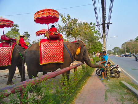 AYUTTHAYA THAILAND-28 FEBRUARY 2019:Ayutthaya Elephant Palace & Royal Kraal Father and son are...