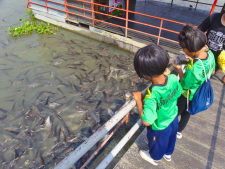 Wat Phanan Choeng Temple AYUTTHAYA THAILAND-01 MARCH 2019:People are going down to the waterfront to give food to fish in the river as a merit.のeditorial素材