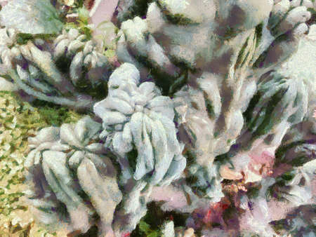 Strange shaped cactus Illustrations creates an impressionist style of painting.の写真素材