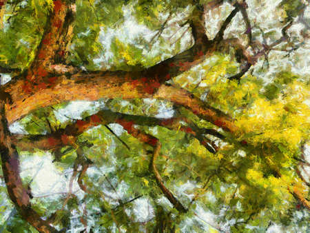 Perennial trees with large green shrubs Illustrations creates an impressionist style of painting.の写真素材