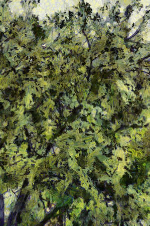 Trees and branches Illustrations creates an impressionist style of painting.の写真素材