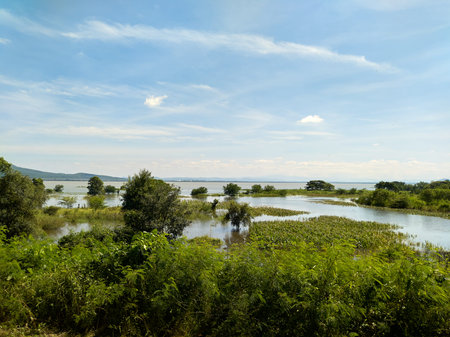 Landscape of flooded marshes and bright blue skies.