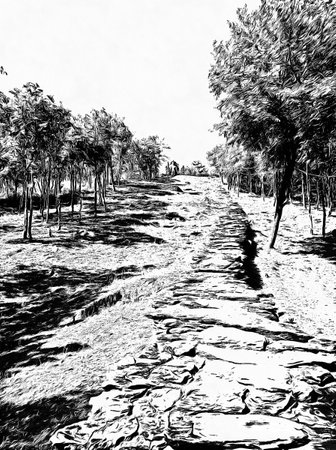 Ancient thai architecture landscape Black and white illustrations.の写真素材