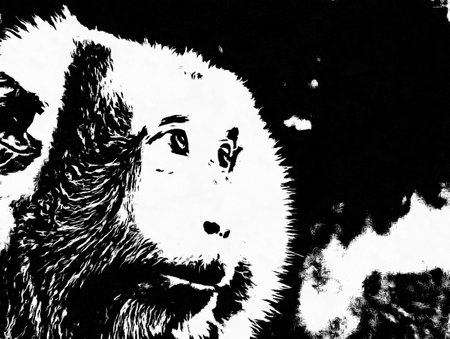 The faces show different emotions and gestures of monkeys Black and white illustrations.