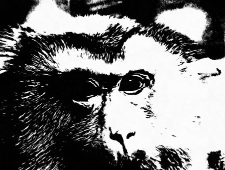 The faces show different emotions and gestures of monkeys Black and white illustrations.