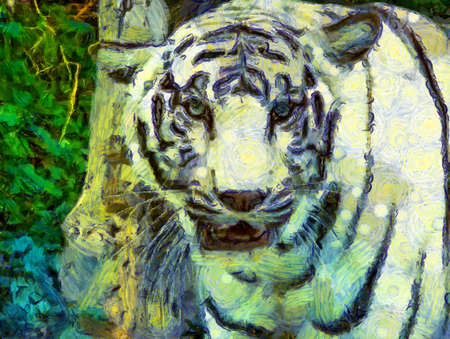 White tiger Illustrations creates an impressionist style of painting.の写真素材