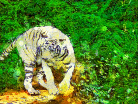 White tiger Illustrations creates an impressionist style of painting.の写真素材