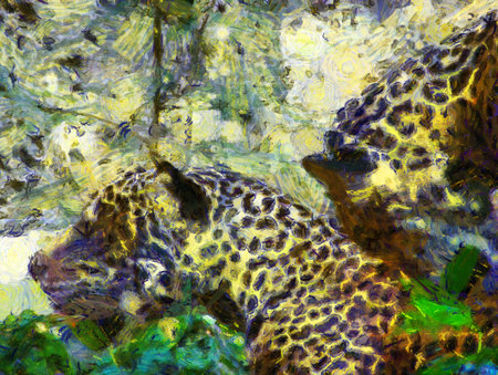 Leopard in various poses Illustrations creates an impressionist style of painting.の写真素材