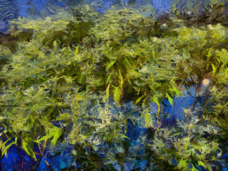 Tree leaves in the sky background Illustrations creates an impressionist style of painting.の写真素材