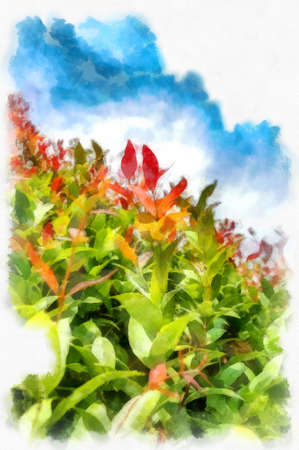 tree with red tops watercolor style illustration impressionist painting.の写真素材