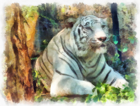 white tiger sleeping in the bushes watercolor style illustration impressionist painting.の写真素材
