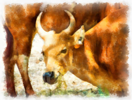 wild cow head watercolor style illustration impressionist painting.の写真素材