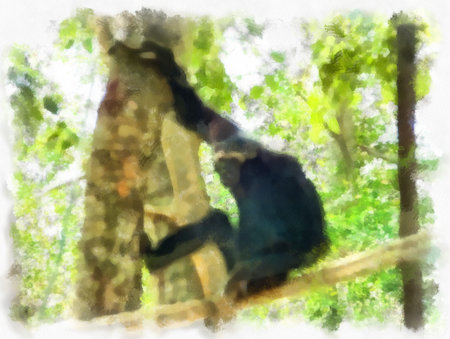 gibbon on a log watercolor style illustration impressionist painting.