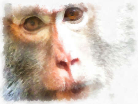 Monkey's face in various gestures watercolor style illustration impressionist painting.の写真素材