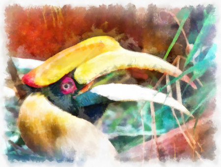 Hornbill head watercolor style illustration impressionist painting.の写真素材