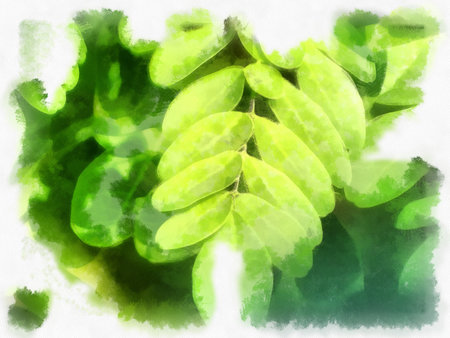 a group of leaves watercolor style illustration impressionist painting.の写真素材