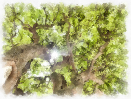 Trees branches bushes watercolor style illustration impressionist painting.