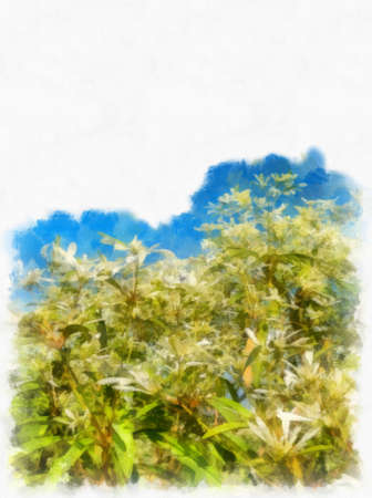 bushes and inflorescences watercolor style illustration impressionist painting.の写真素材