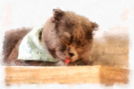 Cats in various cute poses watercolor style illustration impressionist painting.の写真素材