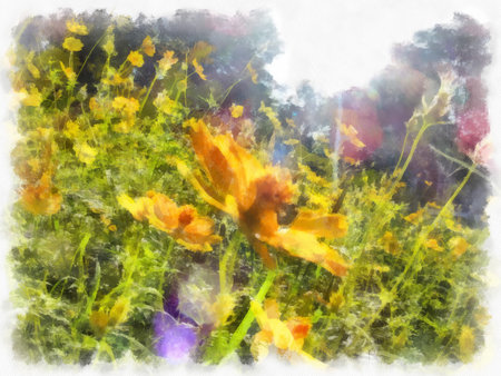 Shrubs of yellow starburst flowers watercolor style illustration impressionist painting.の写真素材