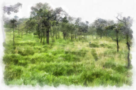 landscape of mountains forests trees and fog watercolor style illustration impressionist painting.の写真素材