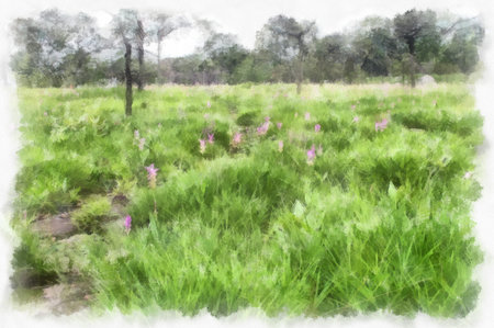 Landscape of wild daffodils and flower fields in the mountain forest watercolor style illustration impressionist painting.の写真素材